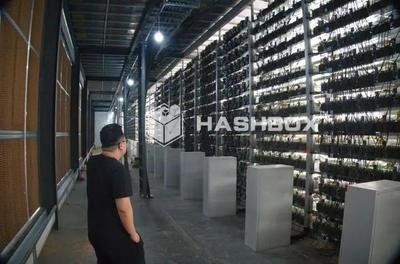 Vast European mining farm with rows of high-end mining rigs interconnected