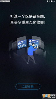 An Innosilicon T4 miner is shown with its ethernet cable highlighted, representing the network connectivity troubleshooting process.