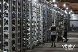 An advanced mining rig setup, highlighting components that enhance Bitcoin and altcoin mining efficiency